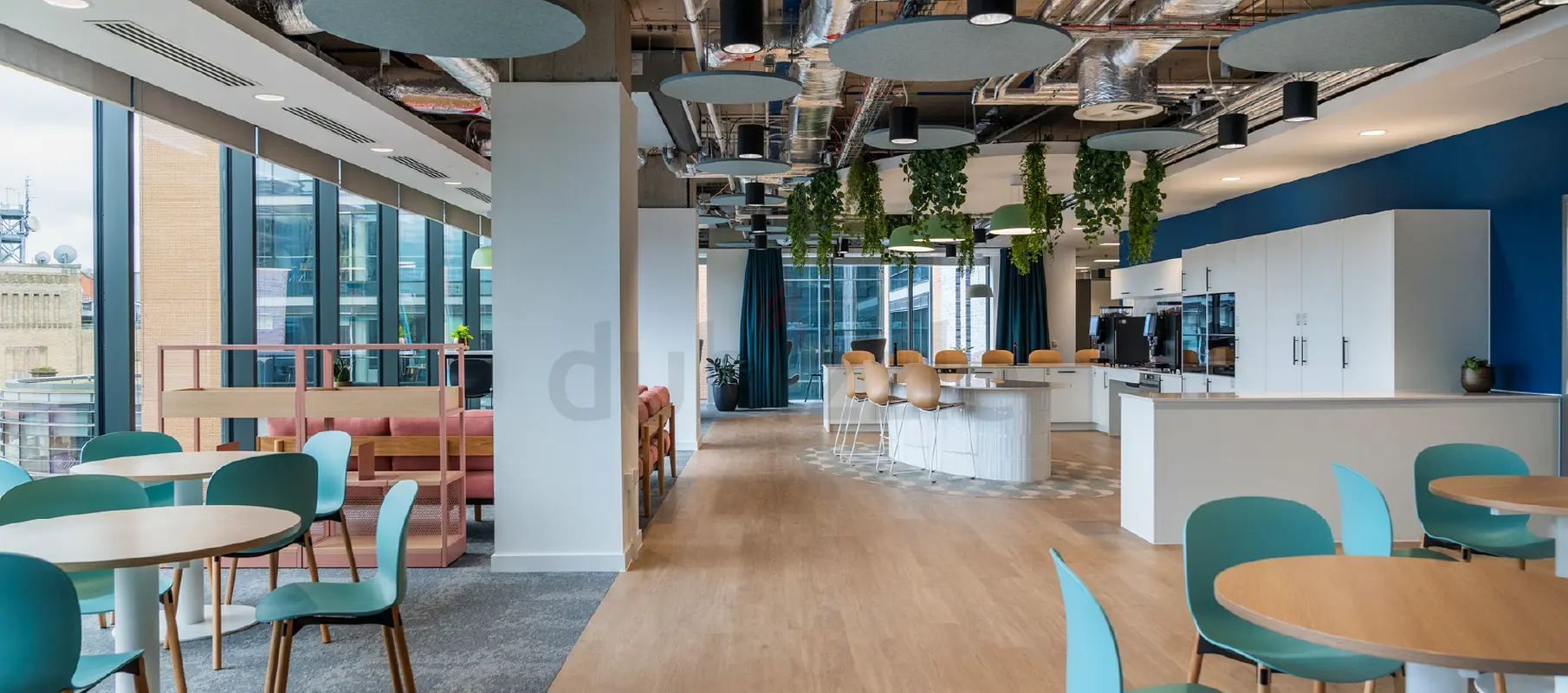DPV_View_Image_6