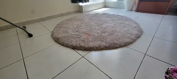 Thick Rug 4x4