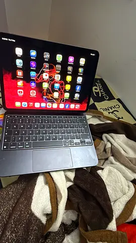 Ipad pro M4 11inch 256 with magickeyboard int.  Both are under warranty