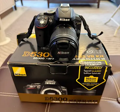 Nikon D5300 with Lens AF-P DX NIKKOR 18-55mm f/3.5-5.6G VR