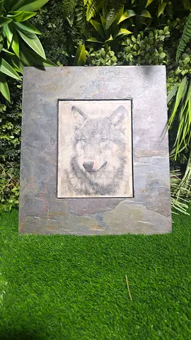 Framed Pencil Drawing of a Wolf in Slate-Style Frame