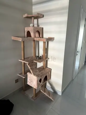 Cat House