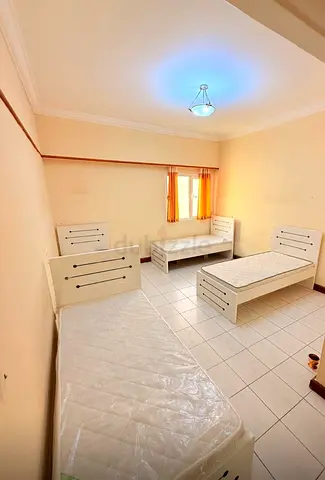 Set of 3 Single Beds with Mattresses — Light Wood, Used