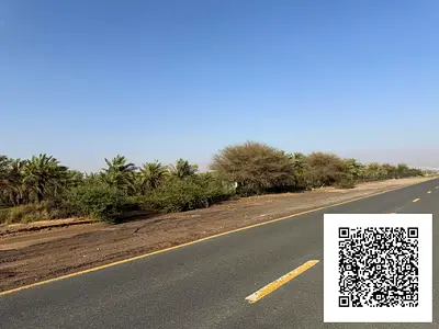 AVAILABLE RESIDENTIAL LAND 1722 SQFT FOR SALE IN AL MANAMA 13 AJMAN UAE