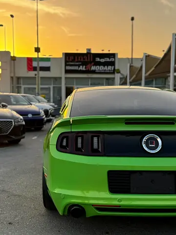 2014 FORD MUSTANG 照片 10