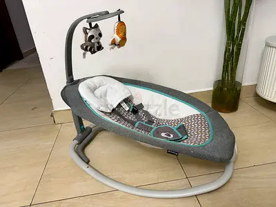 Baby bouncer