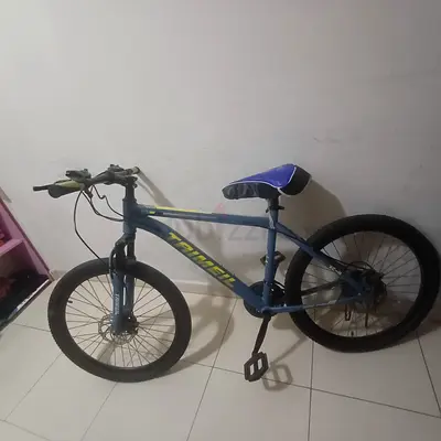 Ceycle