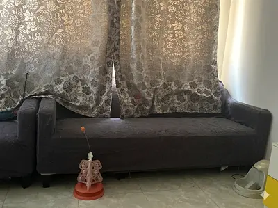 Free 2 sofa need clean