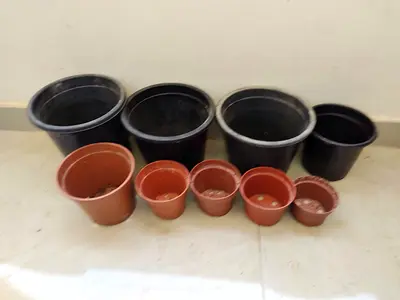 Nursery Pot