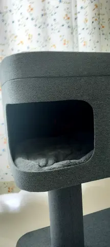 Cat scratching tree with bed