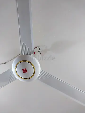 Ceiling fan