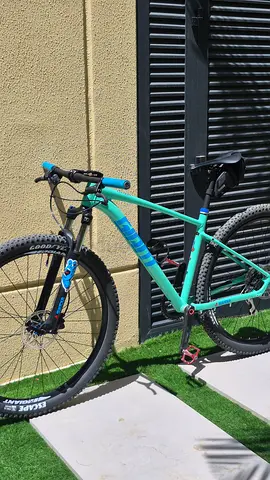 Giant talon 2 (custom build)