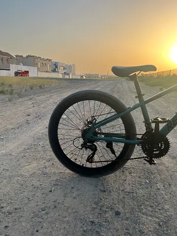 REF•Speed professional mountain bike