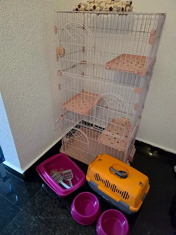 Cat Playpen with carrier