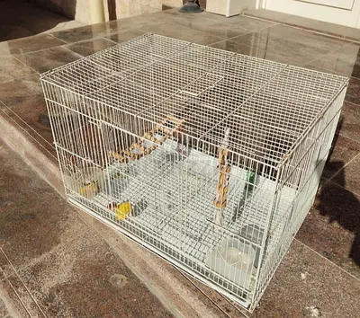 2 Bird Cages One with Stand