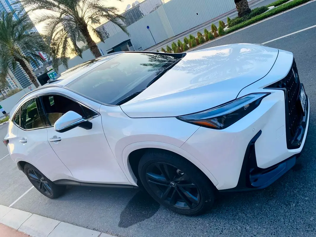 Lexus NX-Series 2024 — photo 1 of 7