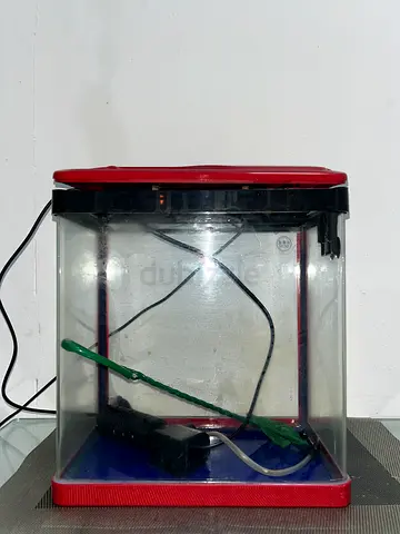 Small glass aquarium tank with LED light, filter and fish ner - used