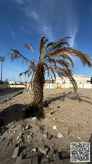 Prime Residential Plot for Sale in Al Hazannah, Sharjah – Excellent Location | AED 1.1M