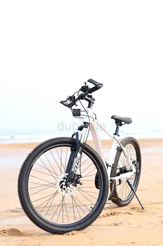 White Mountain Bike - Good Condition, Ready to Fly.