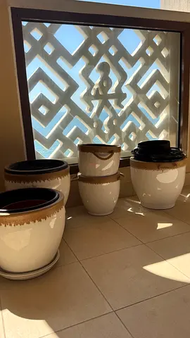 Set of 10 White Ceramic Plant Pots with Brown Rim - different sizes