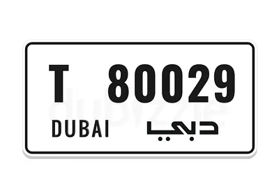 80029 T