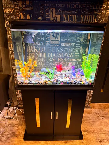 Fish Aquarium