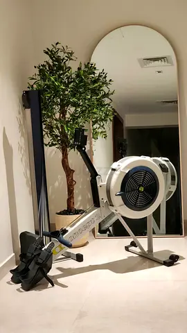 Concept2 RowErg PM5