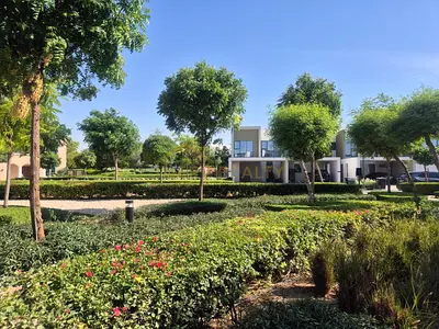 Exclusive | Single Row on the park | Ready Garden