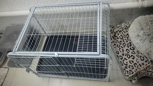 Cat Cage