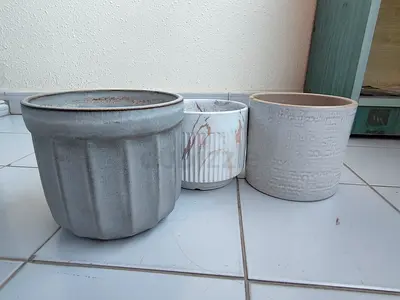 Ceramic Plant Pots