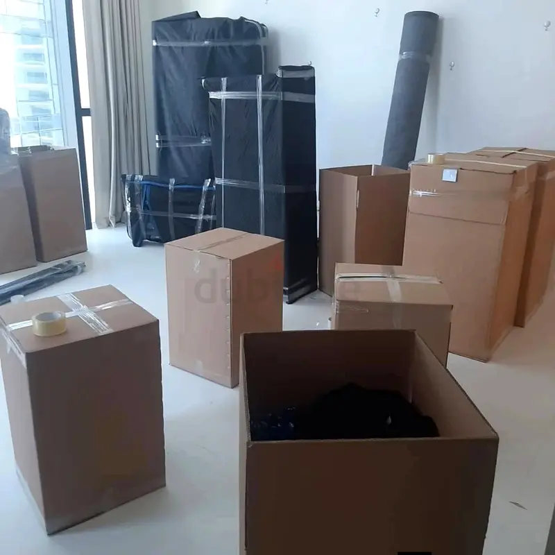 DPV_View_Image_0