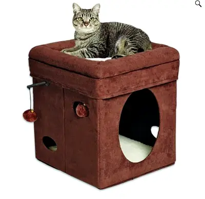 Curious Cat Cube bed - Brand New