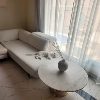 Beautiful Nattuzi sofa for Sale