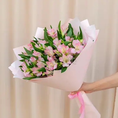 Delicate Pinky Blooms