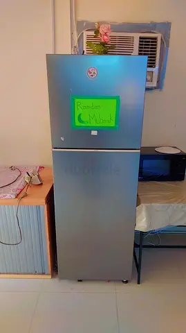 Silver Double-Door Refrigerator - Good Working Condition