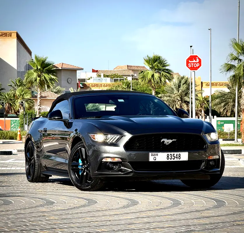Ford Mustang 2015 — photo 1 of 16