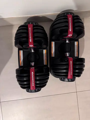 BowFlex SelectTech 552i Dumbbells
