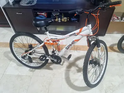 Mountain bike