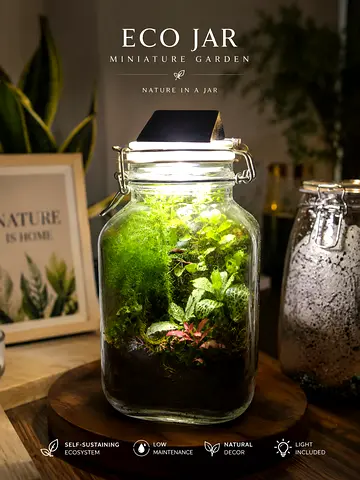 Eco Jar Miniature Garden with Built-in Light (Decorative Terrarium)