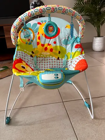 Baby Jumper / rocking chair with Toy Bar - Bright Animal Print