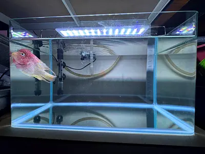 Aquarium