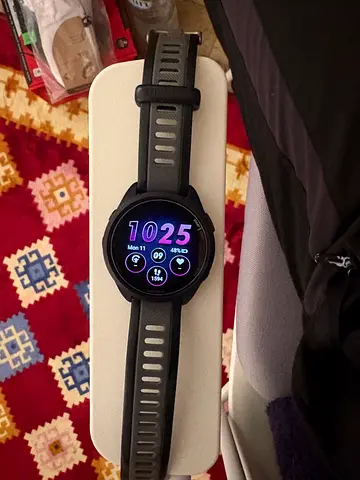 Garmin 165 music