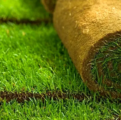 Natural grass sale and installation