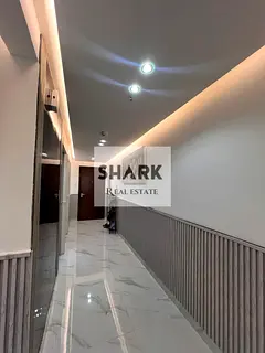 A high-end apartment with Ultra Super Lux finishing located in a prime area within Orient Towers