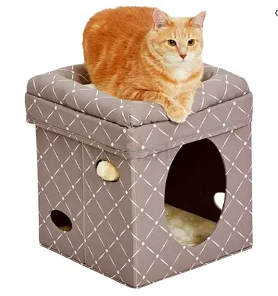 Curious Cat Cube – Mushroom - Brand New