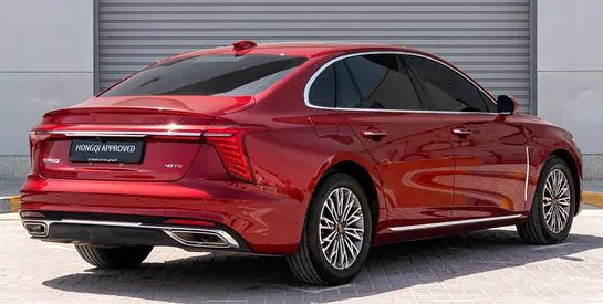 Hongqi Ousado Luxury, миниатюра 7