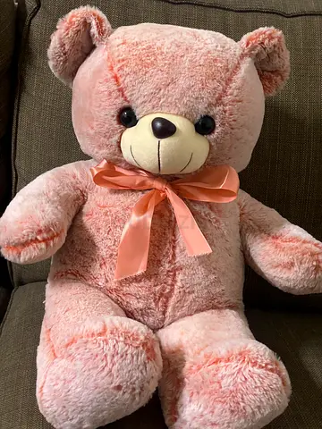 Cute Pink Teddy Bear 🧸