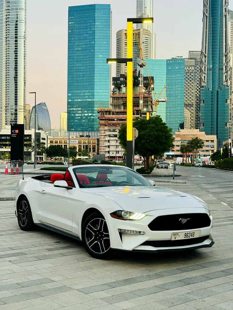 Ford Mustang 2020 — photo 1 of 9