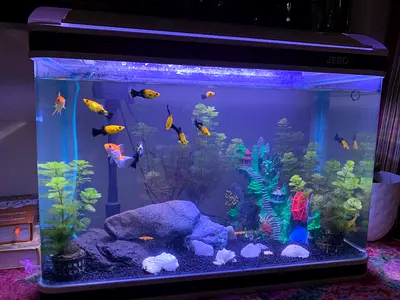 Aquarium decoration stone