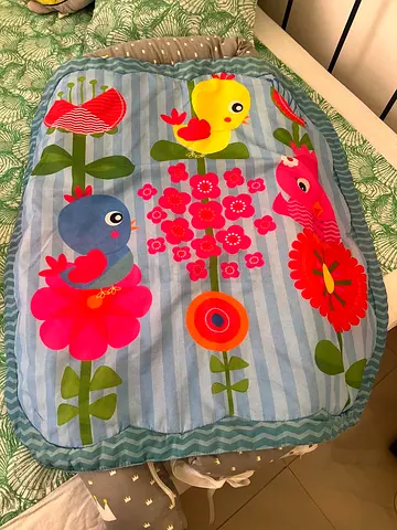 Baby Play Mat